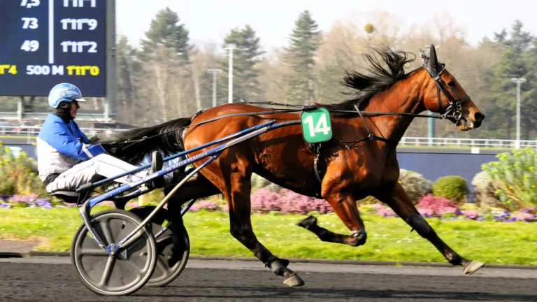 Pronostic Quinté du samedi 19 avril 2025