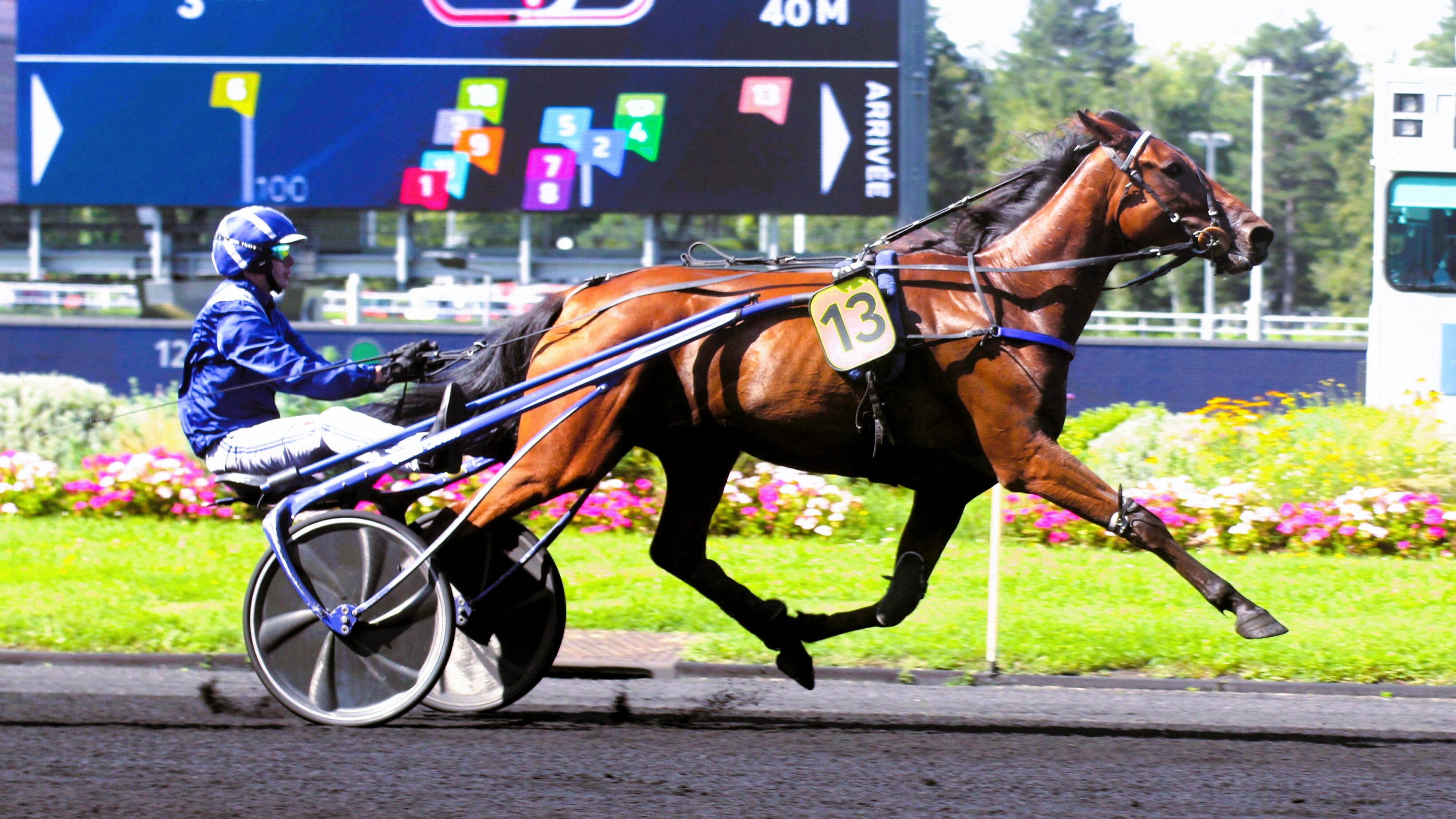 Résultat PMU du vendredi 25 avril 2025