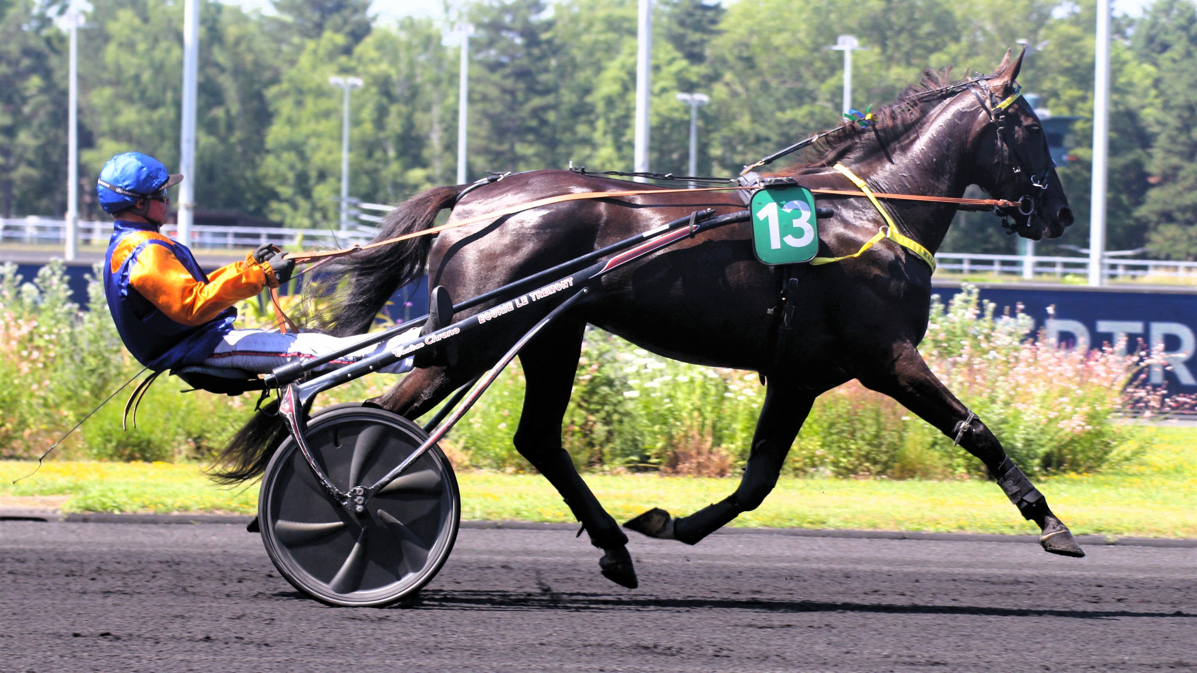 Résultat quinté du samedi 12 avril 2025