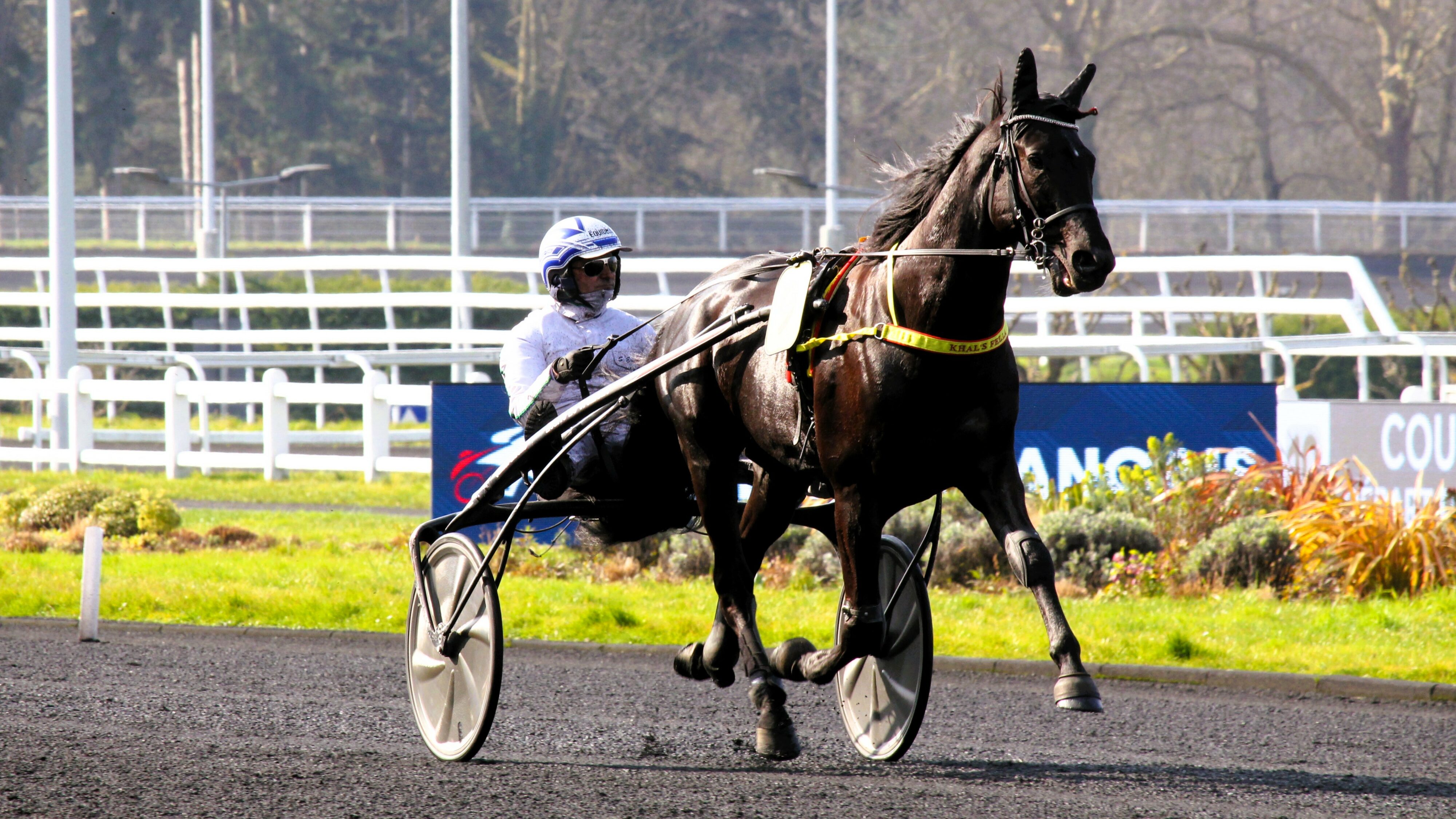 Bilan Cheval du jour mois de juin 2025