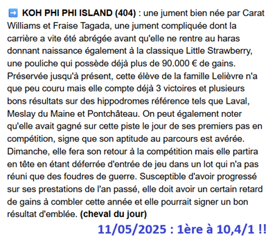 Pronostic PMU gagnant du 11 mai 2025
