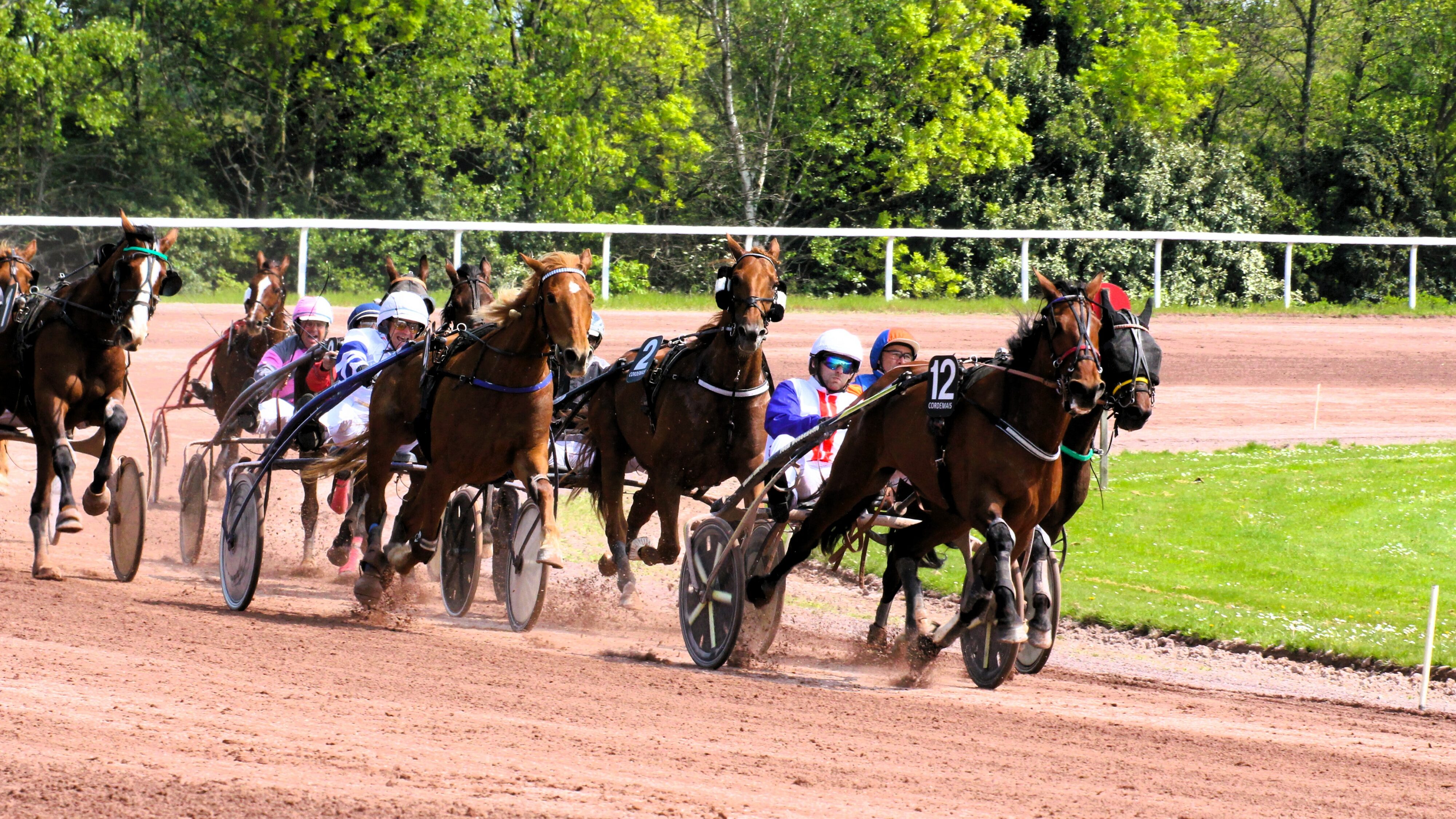 Pronostic Quinté du mercredi 4 juin 2025