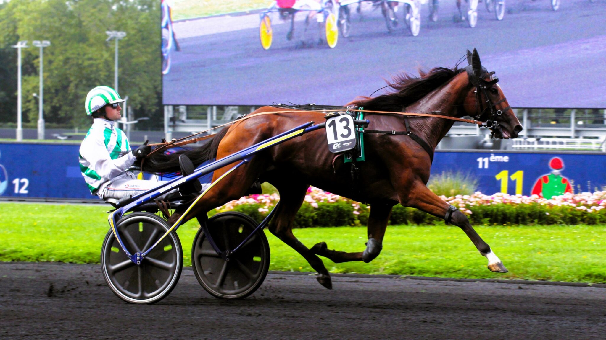 PRONOSTICS QUINTE LUCRATIFS SUR 6 MOIS EN 6 CHEVAUX visual data 8