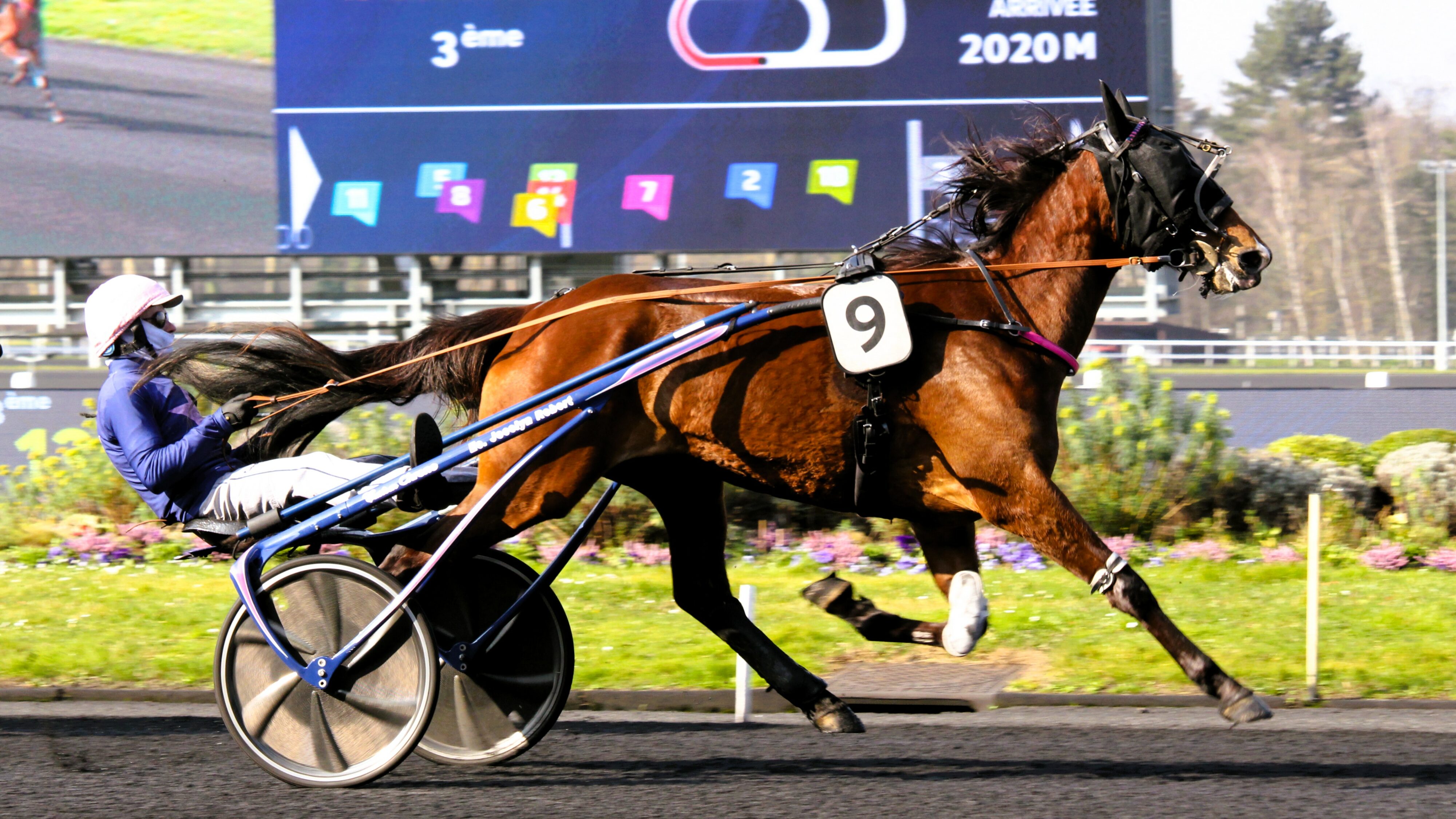 Résultat PMU du mercredi 4 juin 2025