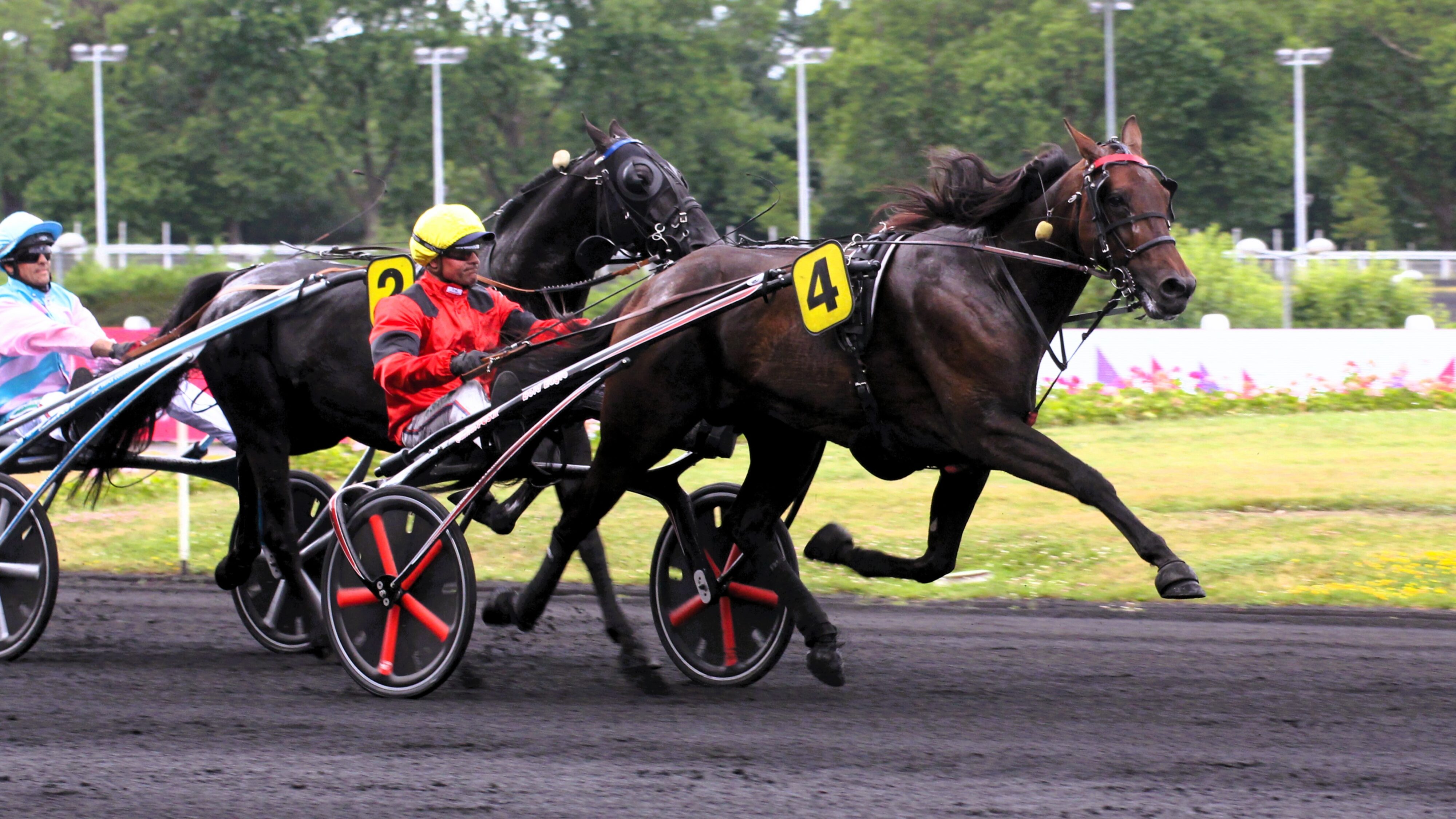 Résultat PMU du samedi 24 mai 2025