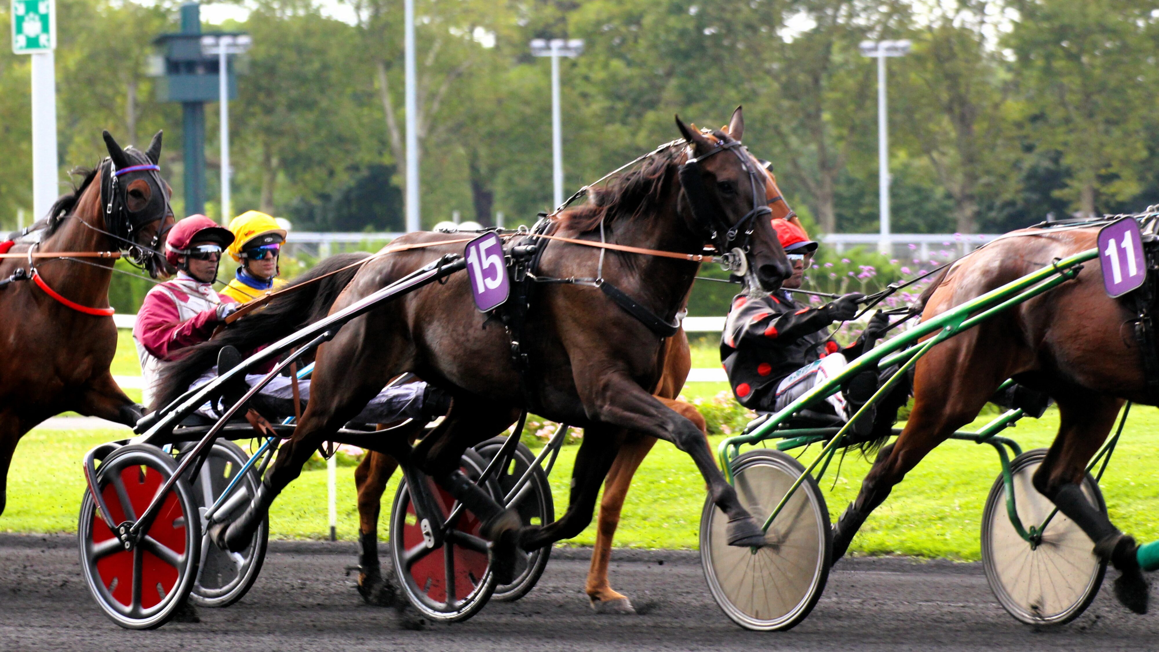 Résultat PMU du vendredi 13 juin 2025