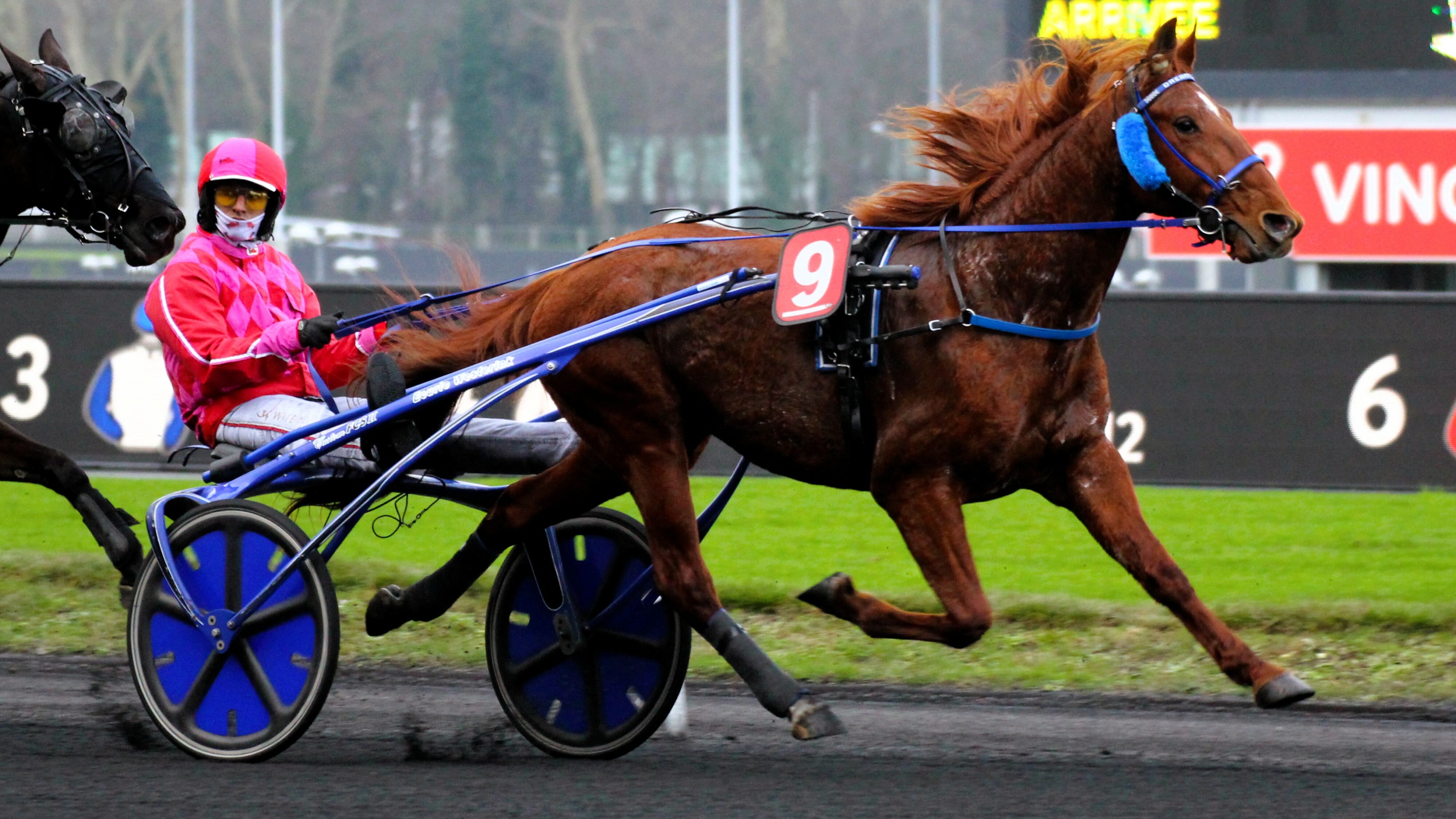 Resultat quinte du vendredi 2 mai 2025