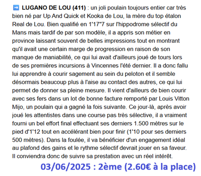 Pronostic PMU gagnant du 3 juin 2025