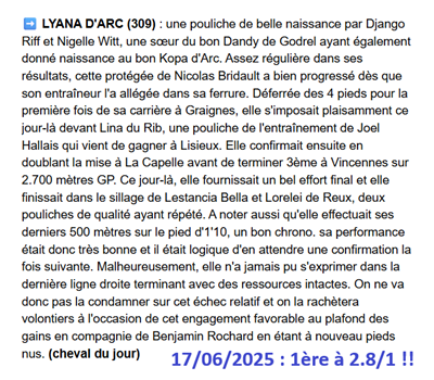 Pronostic PMU gagnant du 17 juin 2025