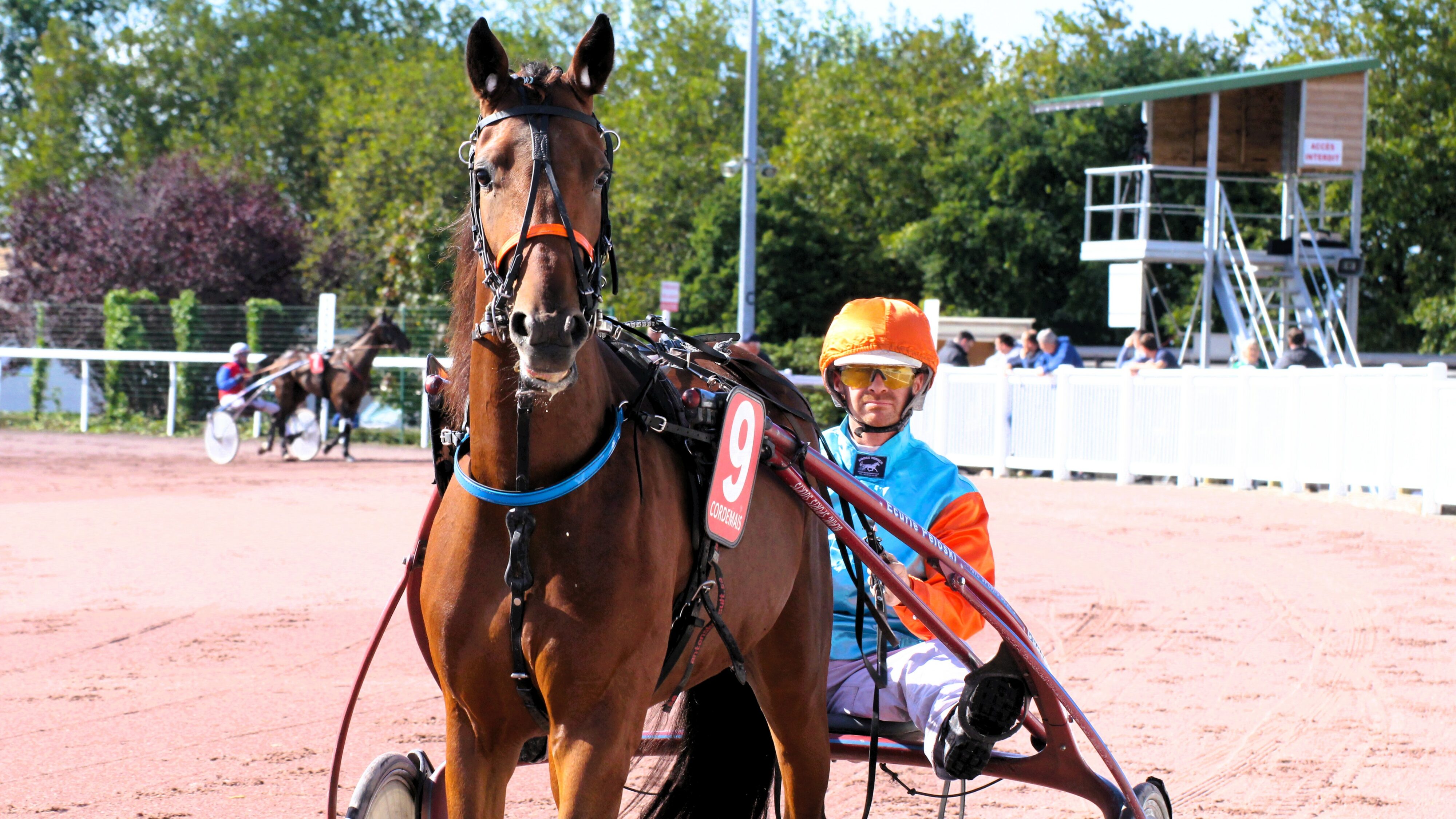 Pronostic PMU du vendredi 4 juillet 2025