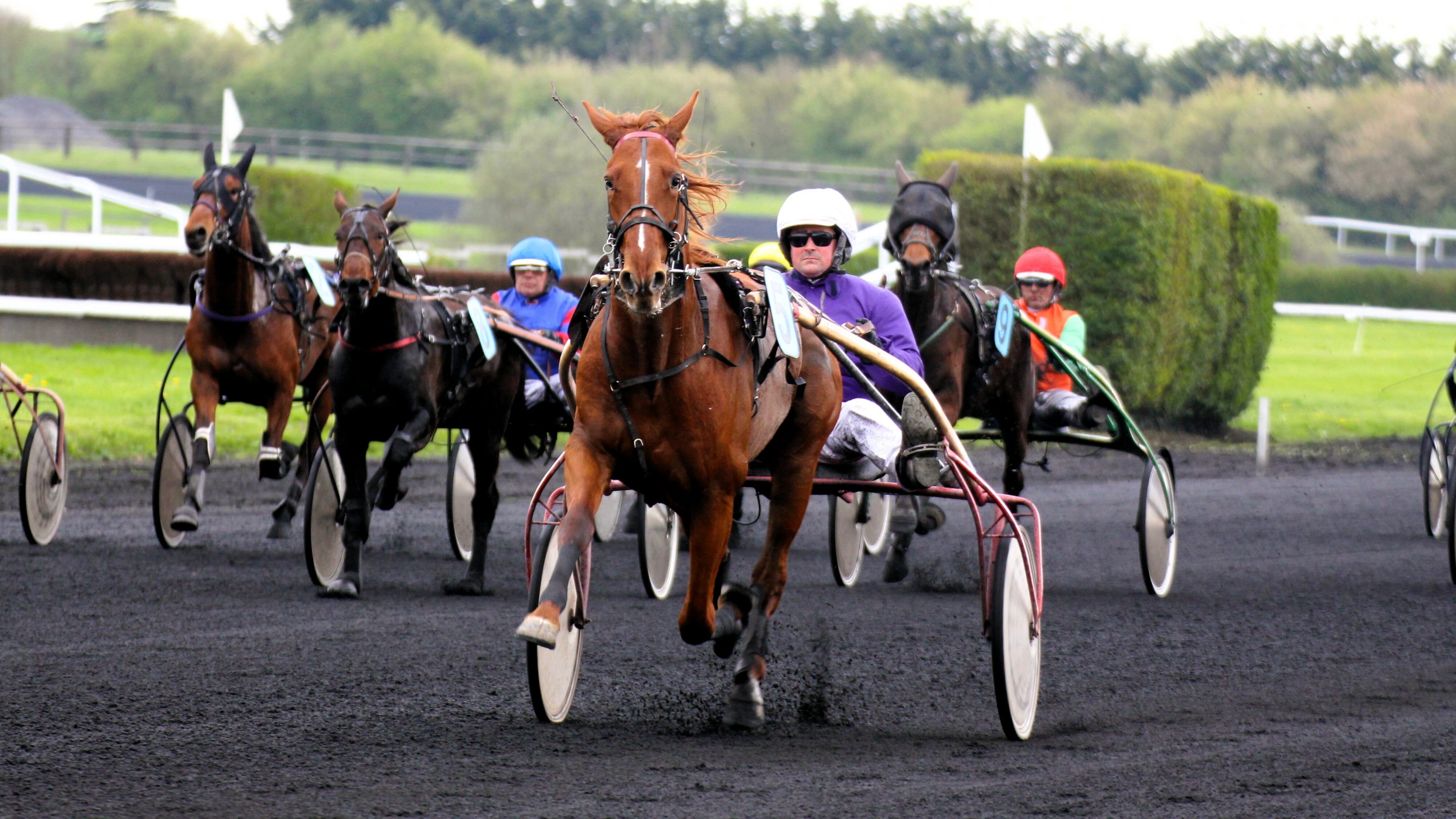 Résultat PMU du mercredi 25 juin 2025