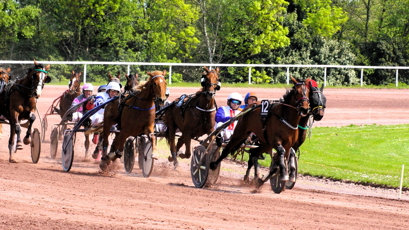 Pronostic PMU du vendredi 11 juillet 2025