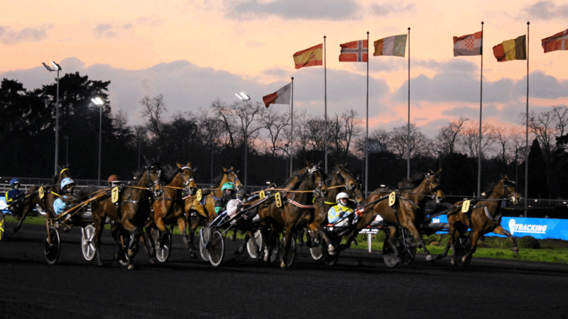Pronostic PMU du vendredi 25 juillet 025