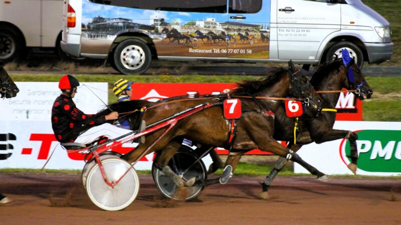 Pronostic PMU jeudi 10 juillet 2025