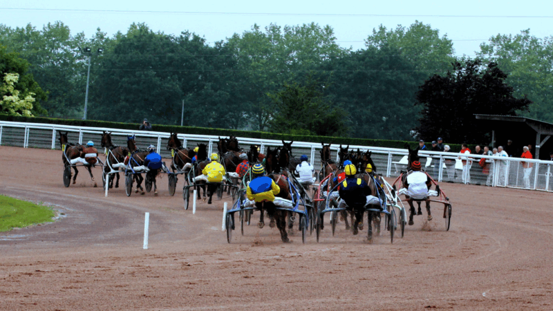 Pronostic Quinté du mercredi 23 juillet 2025