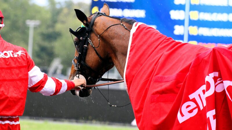 Pronostic quinté du vendredi 1er août 2025