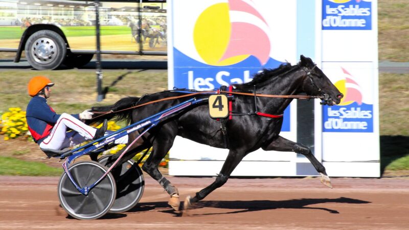 Résultat PMU mercredi 9 juillet 2025