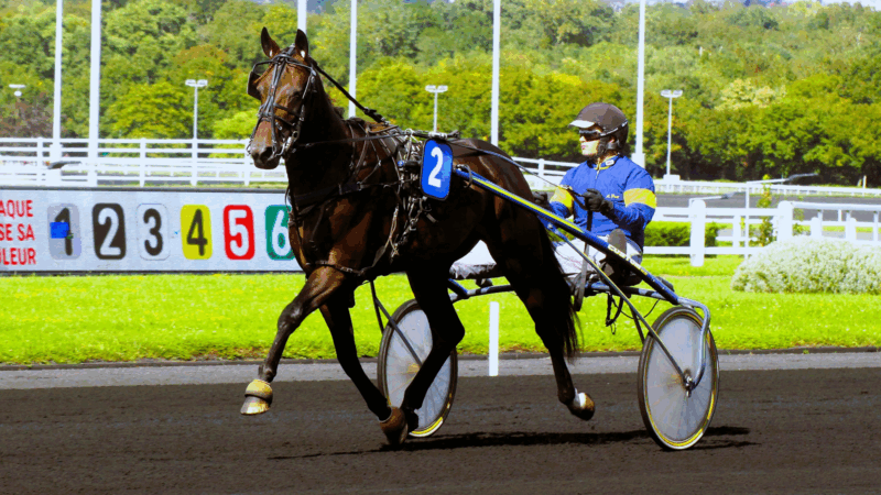 Résultat PMU quinté du mercredi 23 juillet 2025