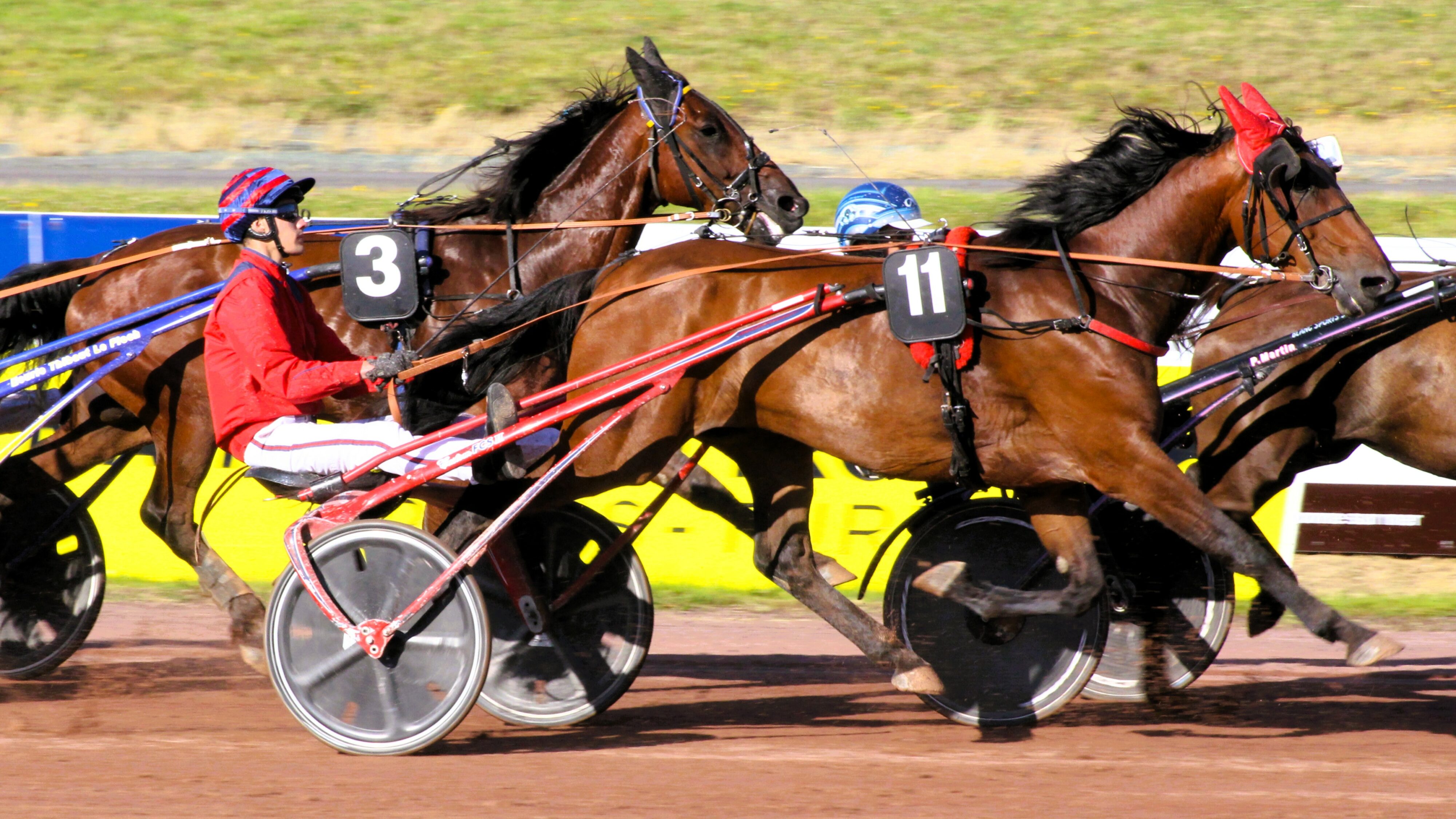 Résultat pronostics PMU mois de juillet