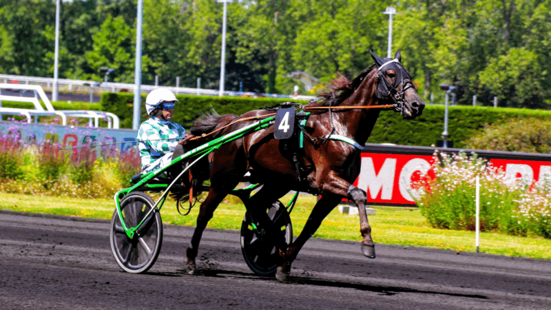 Résultat quinte PMU du samedi 26 juillet 2025