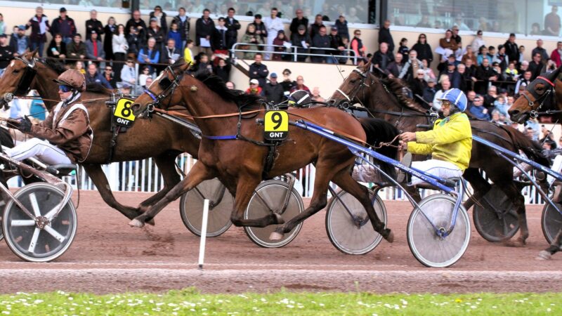 Arrivée du quinté du 6 aout 2025