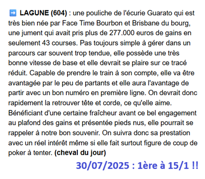 Pronostic PMU gagnant du 30 juillet 2025