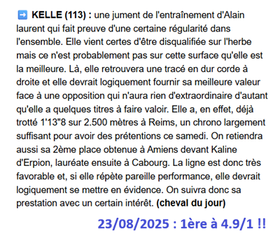 Pronostic PMU gagnant du samedi 23 aout 2025