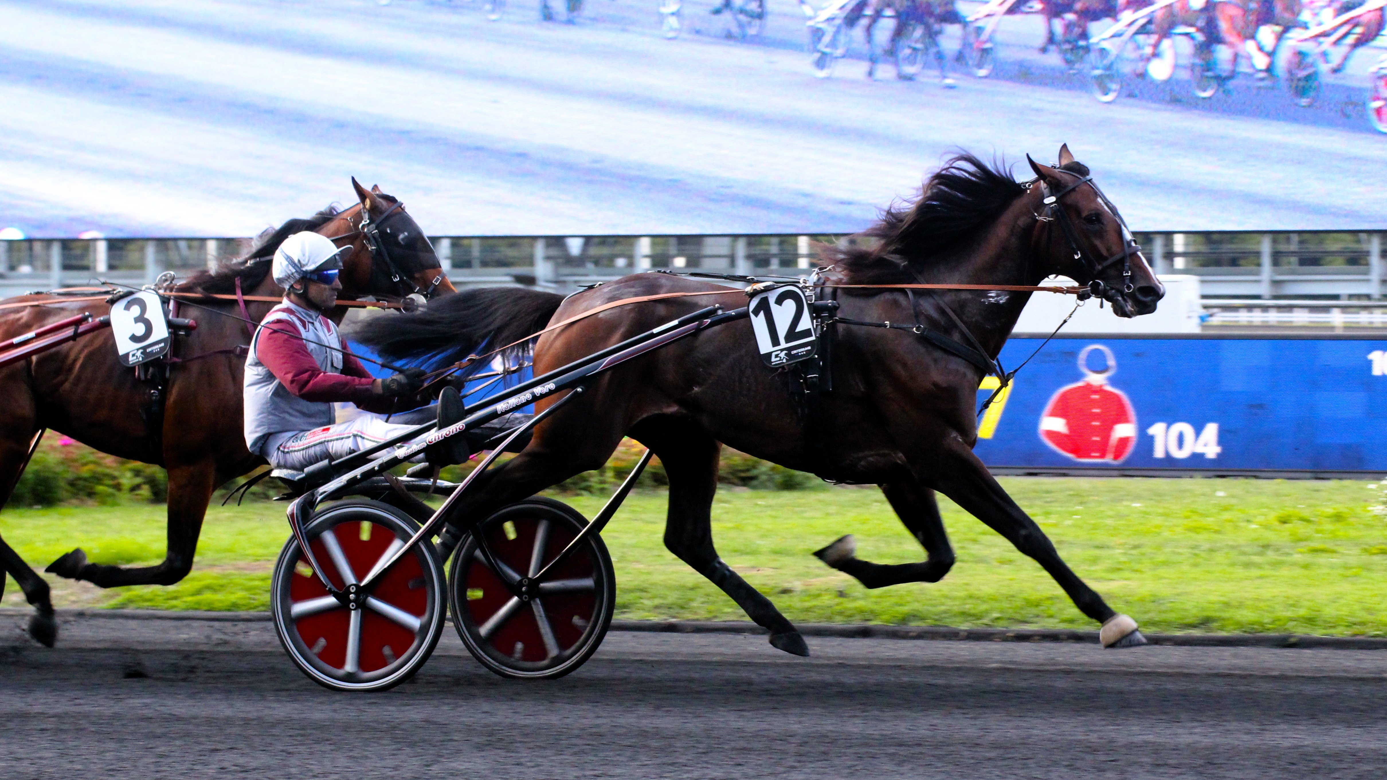 Hippodromes français