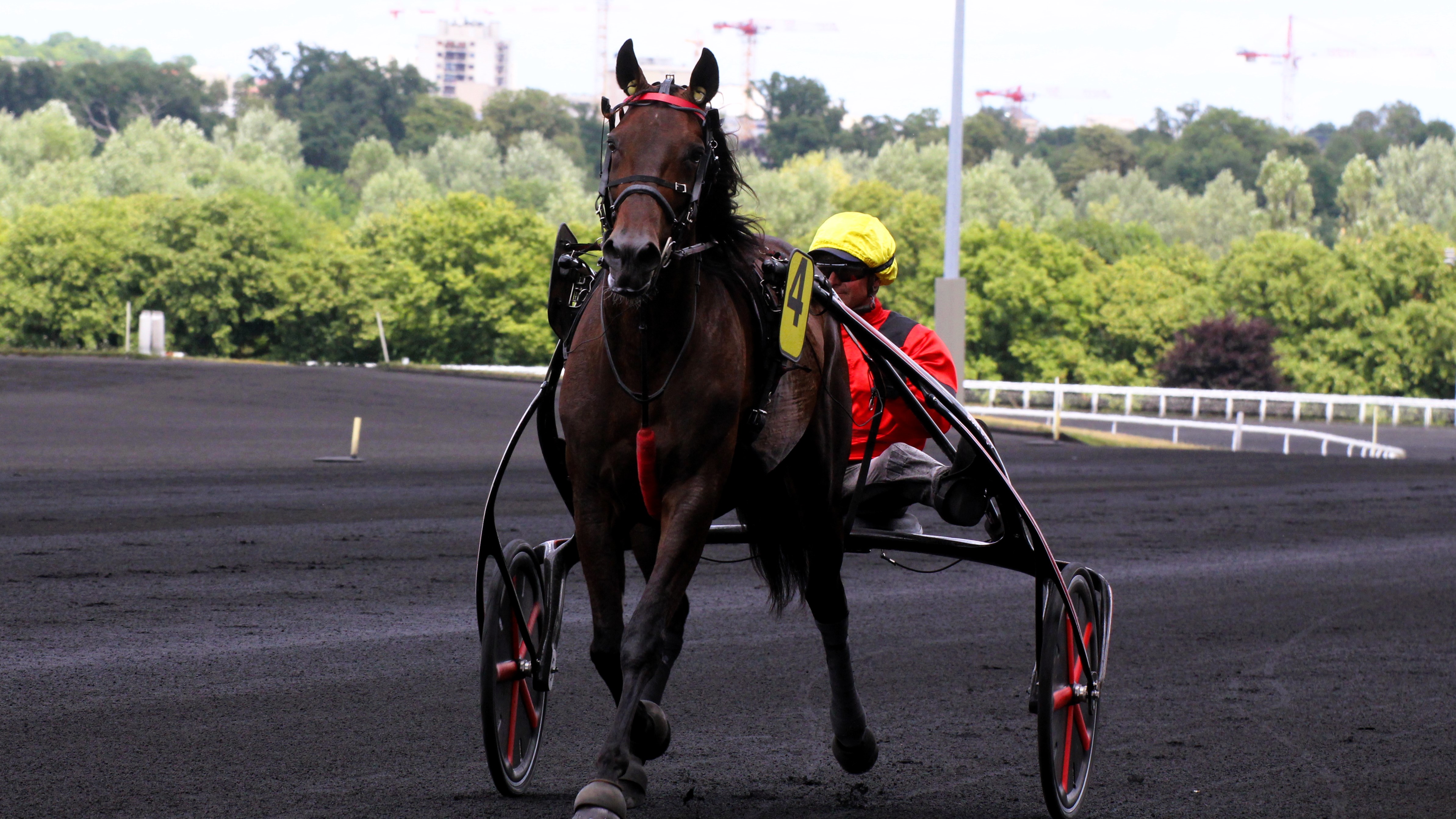 Pronostics PMU cheval du jour