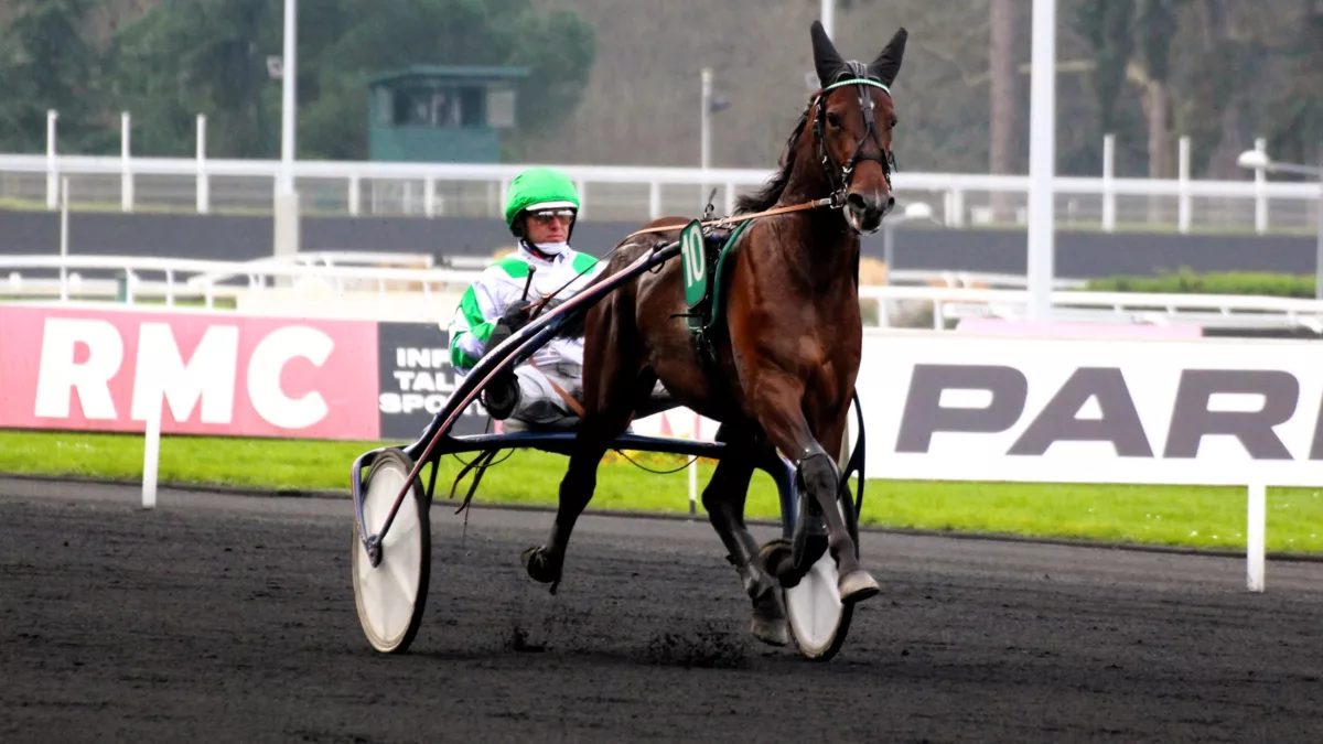 Pronostics PMU cheval du jour