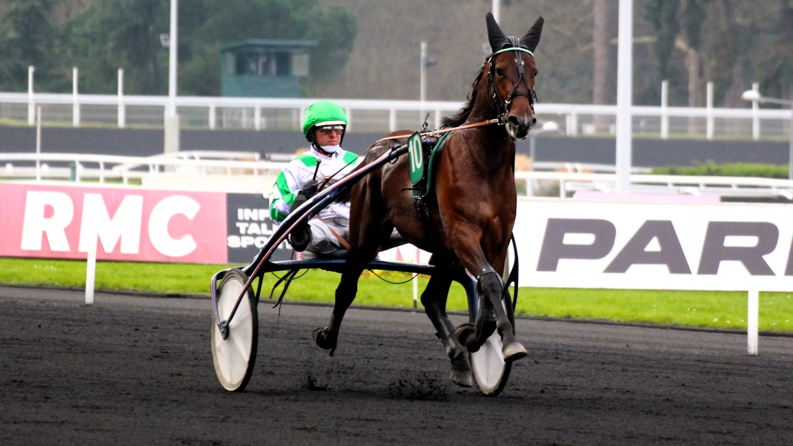 Pronostics PMU cheval du jour