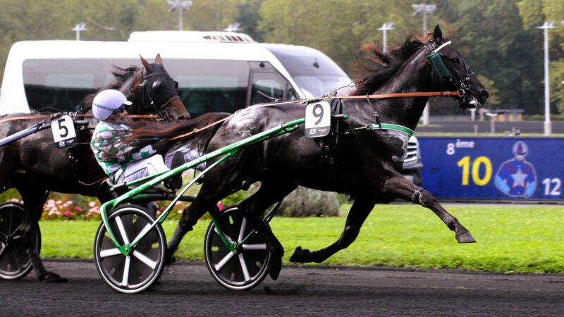 Résultat PMU du jeudi 7 août 2025