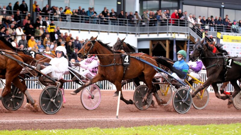 Résultat PMU du vendredi 8 août 2025