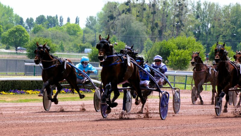 Resultat pmu 1er aout 2025