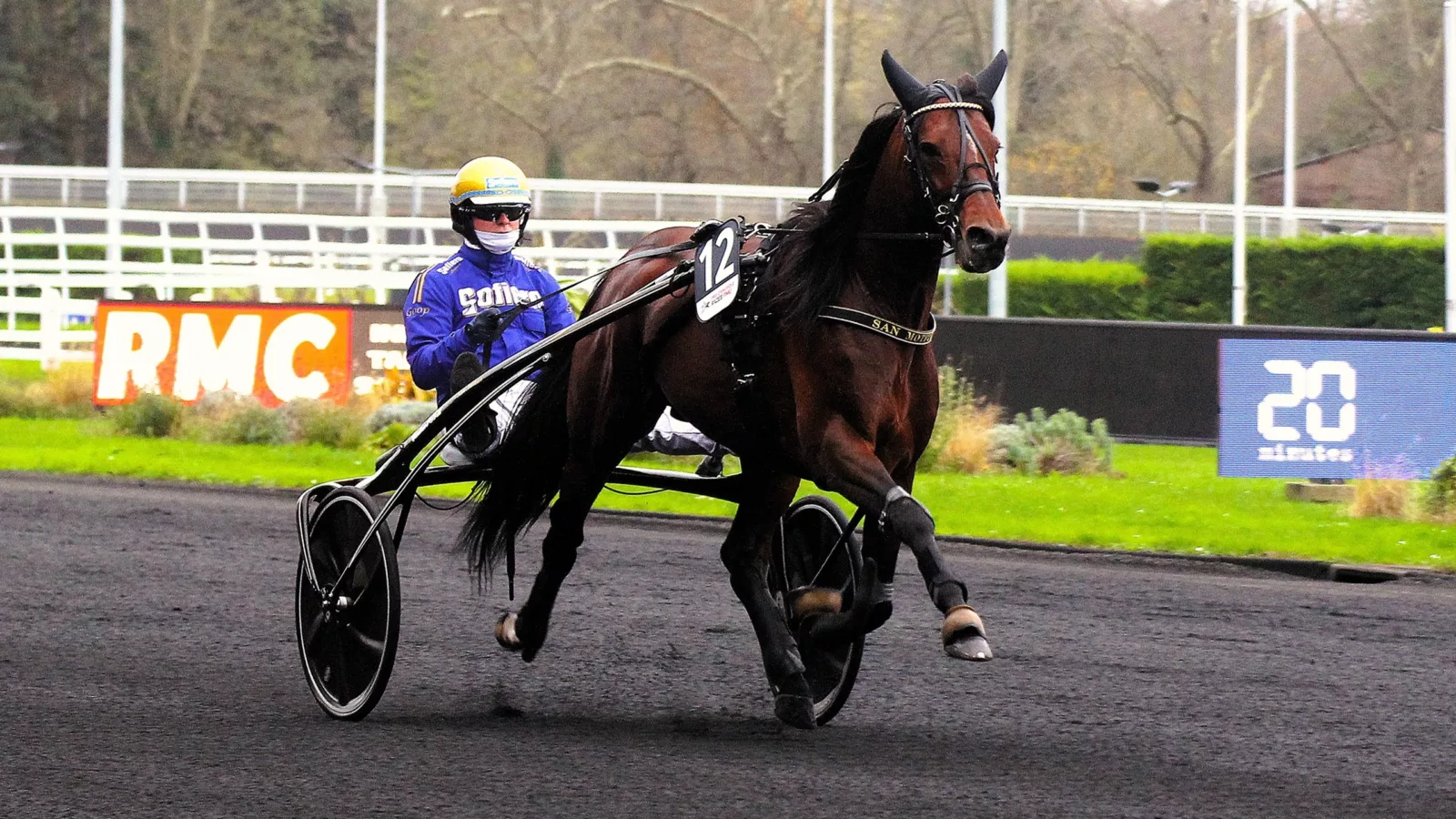 Trotteur à l'hippodrome de Vincennes Trotteur à l'hippodrome de Vincennes