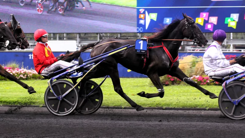 Pronostic PMU du jeudi 18 septembre 2025