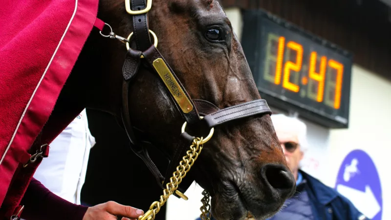 Pronostic PMU du mercredi 17 septembre 2025