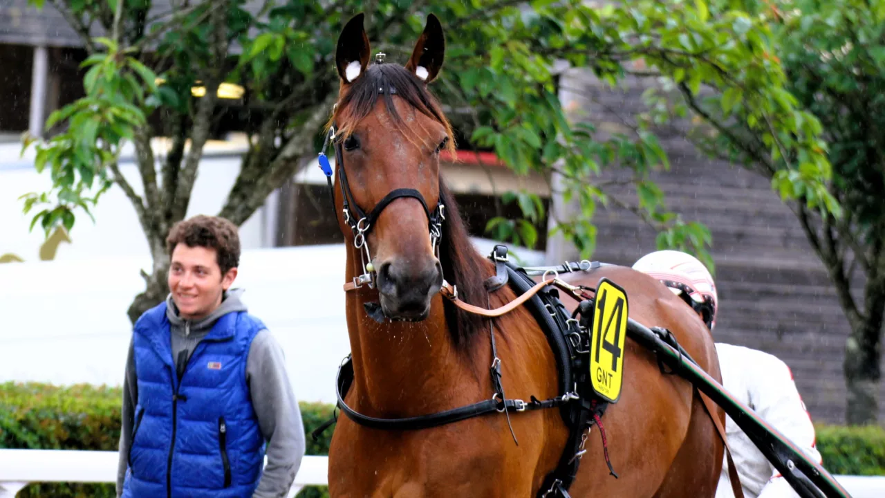 Pronostic PMU du mercredi 8 octobre 2025