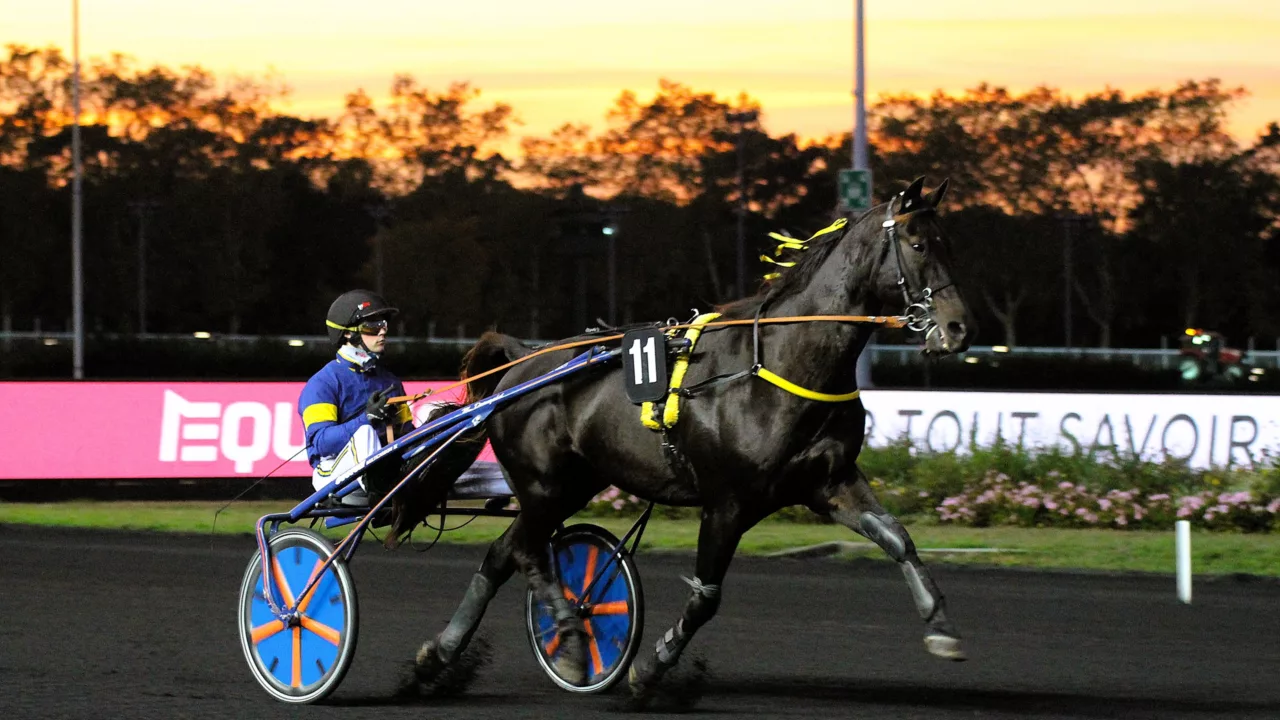 Pronostic Quinté du vendredi 3 octobre 2025