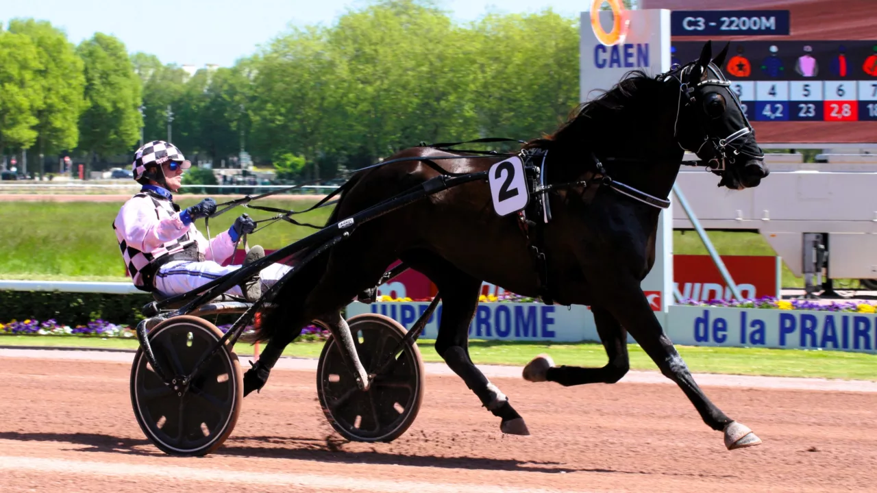 Pronostic Quinté mercredi 1er octobre 2025