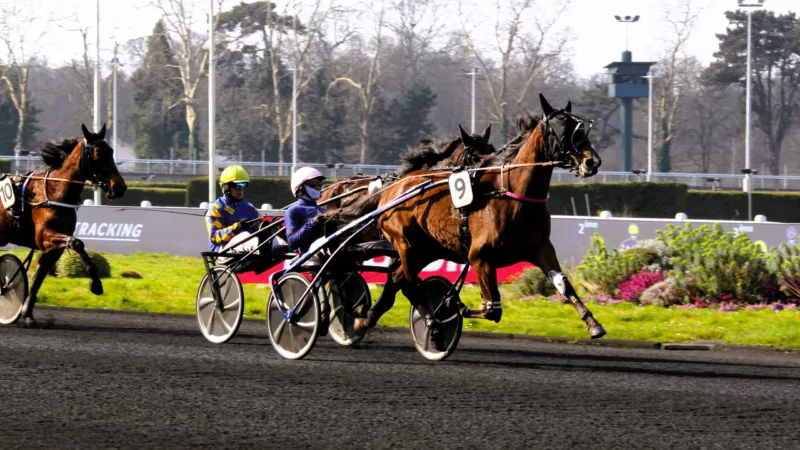 Pronostic quinté Pronostic quinté presse