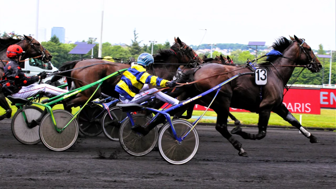 Résultat PMU du dimanche 28 septembre 2025