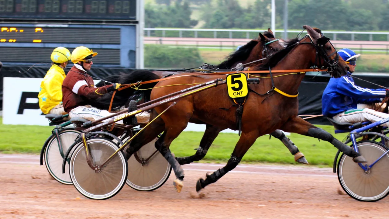 Résultat PMU du lundi 6 octobre 2025