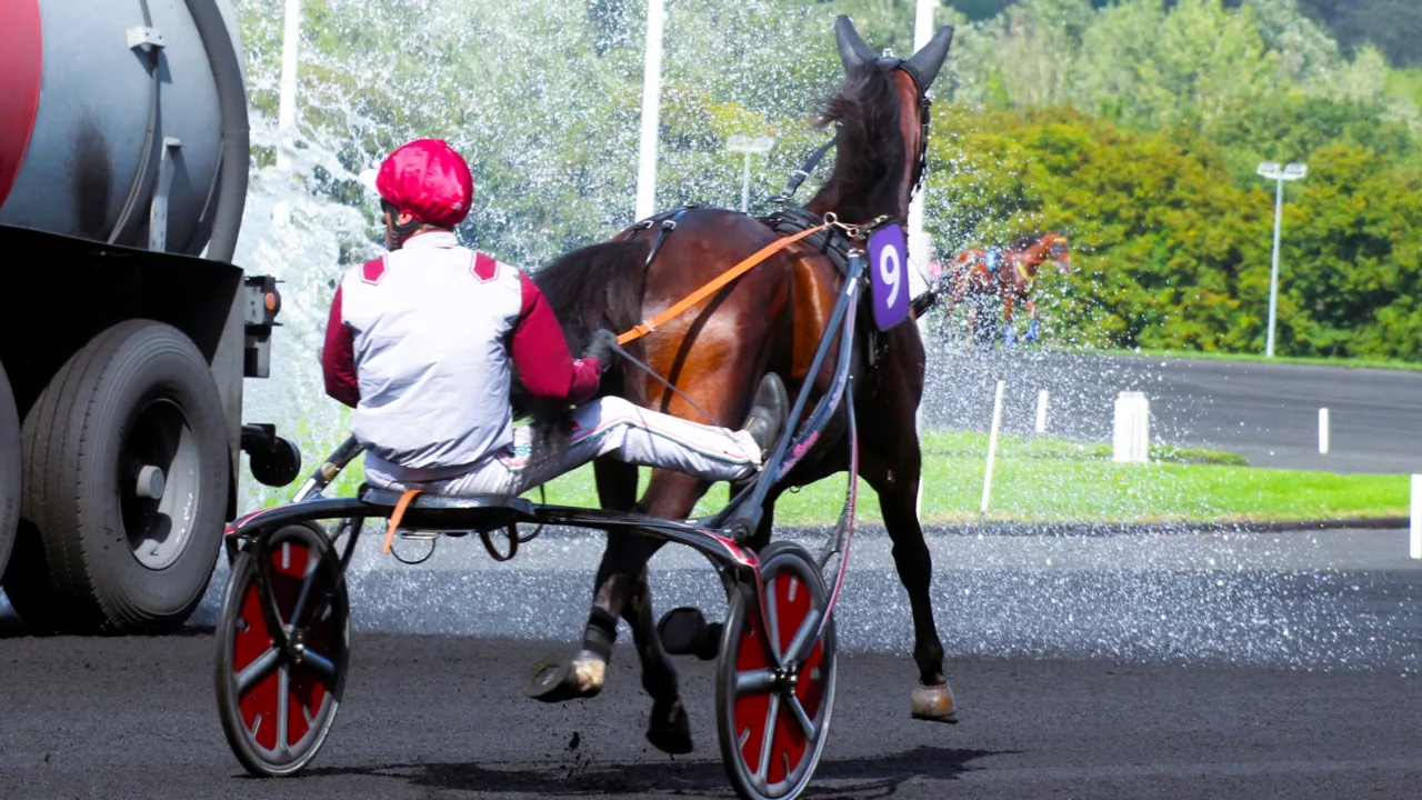 Résultat PMU du mercredi 1er octobre 2025