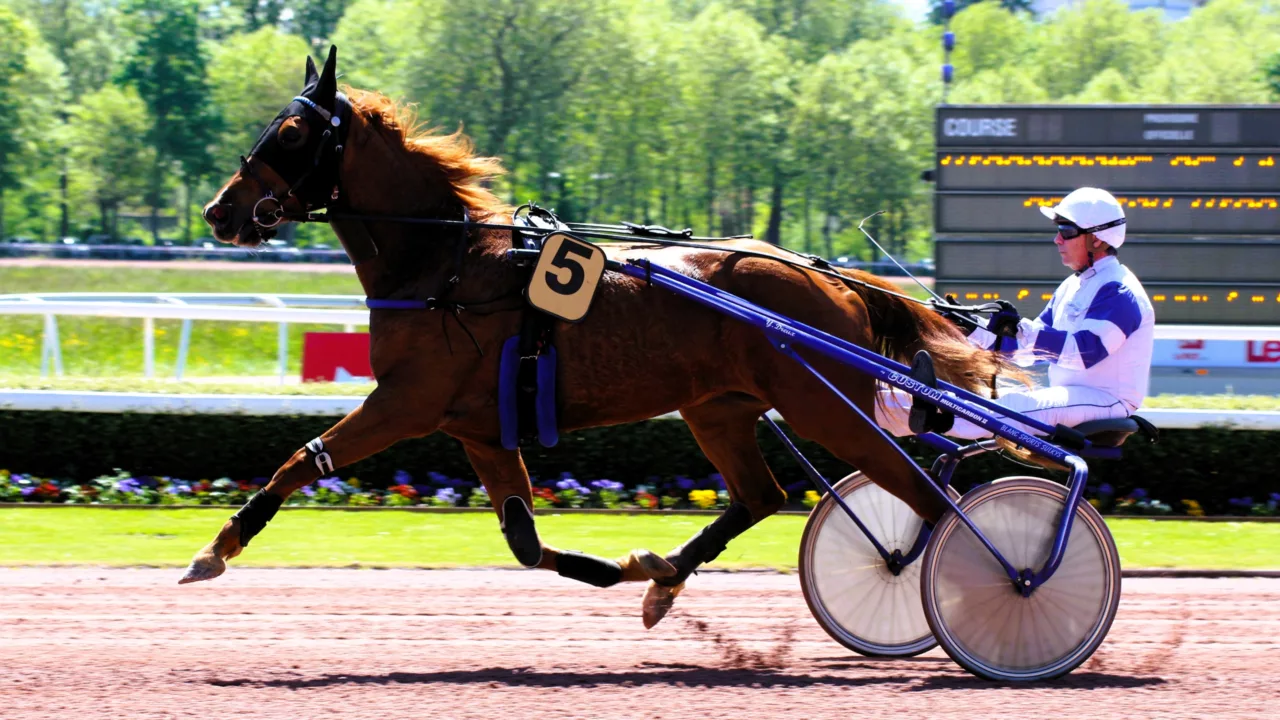 Résultat PMU du mercredi 24 septembre 2025