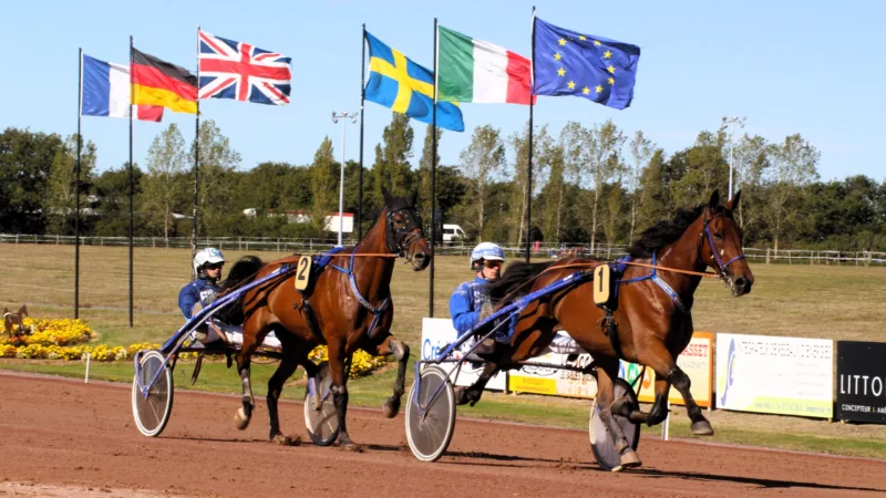 Résultat PMU du mercredi 3 septembre 2025