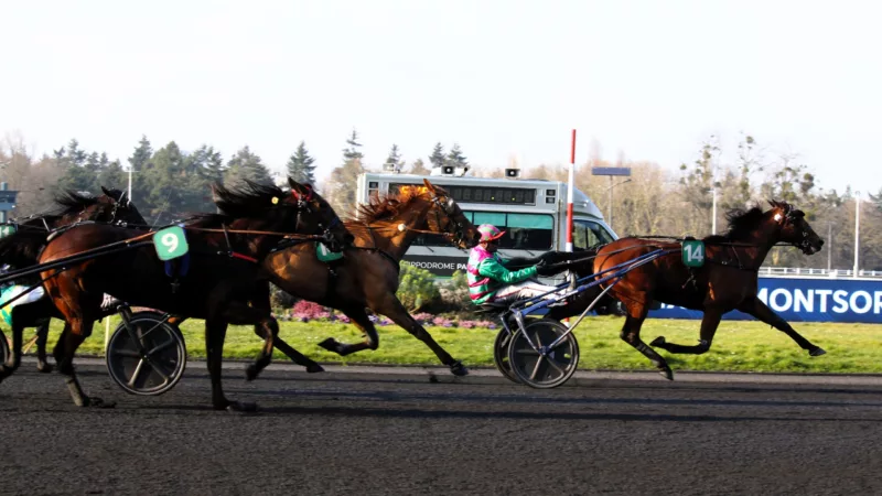 Résultat PMU du samedi 6 septembre 2025