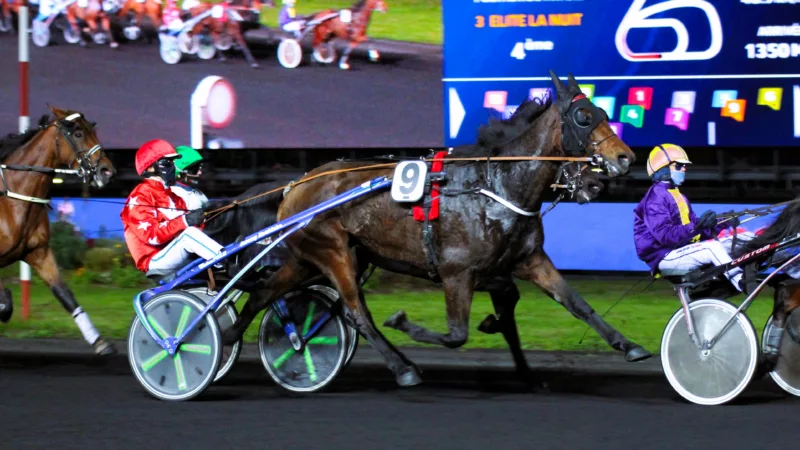 Résultat PMU du vendredi 12 septembre 2025