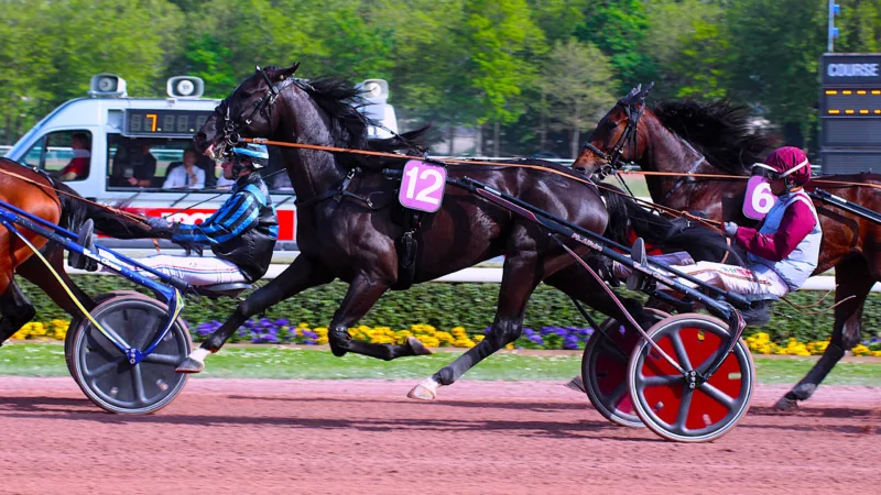 Résultat Quinté du mercredi 10 septembre 2025