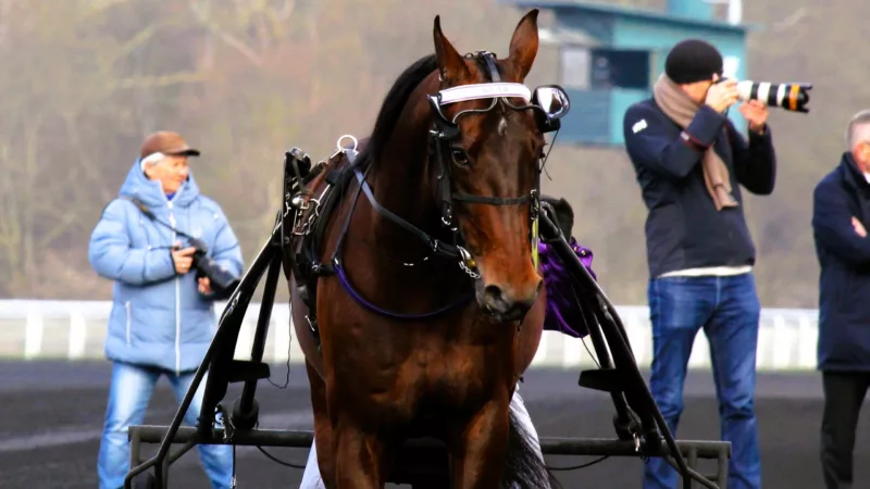 Résultat cheval du jour septembre 2025